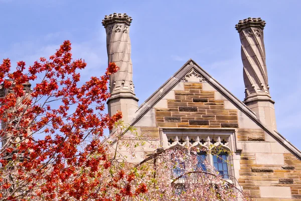 Yale Üniversitesi Sterlini hukuk kırmızı yaprakları bina — Stok fotoğraf