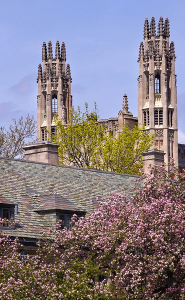 Yale universiteit sterling wet gebouw — Stockfoto