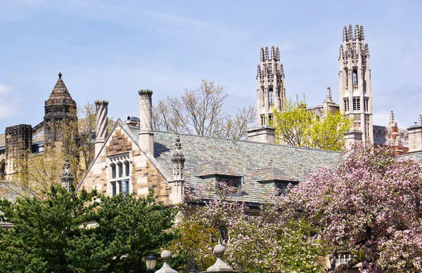 Yale universiteit sterling wet gebouw — Stockfoto