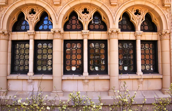 Yale University verzierte Fenster Reflexion — Stockfoto
