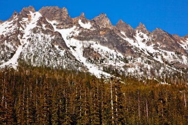 Snowy Kangaroo Ridge Washington Pass Summer North Cascades Nati clipart