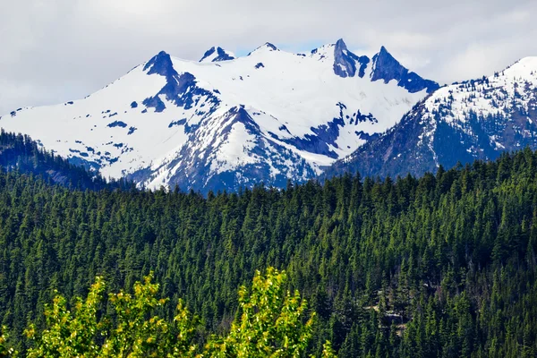 Башта сніг Вашингтон Pass півночі каскади національному парку гори — стокове фото