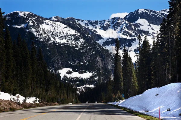 Červenec sníh hora Washingtonu projít Severní Kaskády národní park — Stock fotografie