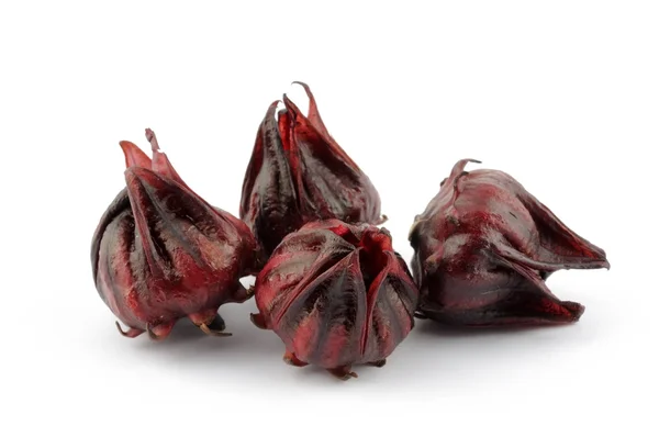 stock image Roselle flowers