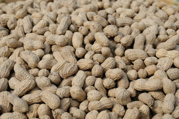 Erdnüsse als Hintergrund — Stockfoto