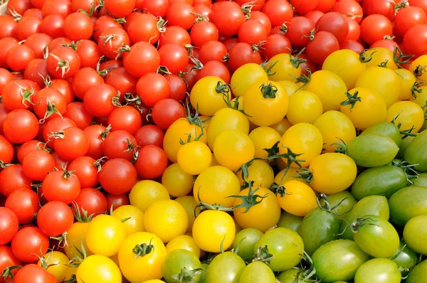 화려한 모듬된 토마토 — 스톡 사진