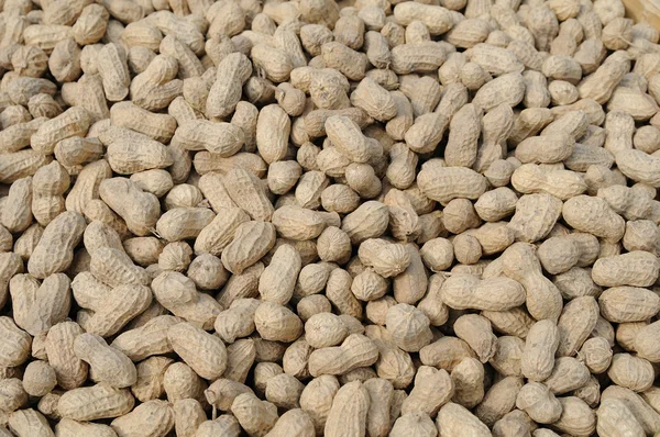 Erdnüsse als Hintergrund — Stockfoto