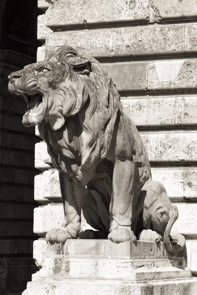 Patung singa, budapest — Stok Foto