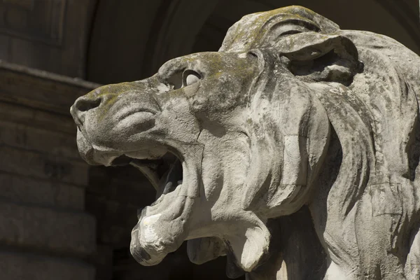 Testa di leone statua, budapest — Foto Stock