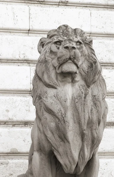 Lion statue, budapest — Stock Photo, Image
