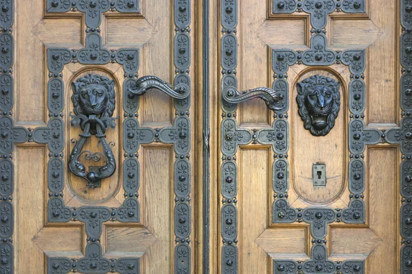 Dřevěné dveře s leon, Bazilika svatého Štěpána — Stock fotografie