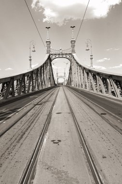 Liberty Bridge in Budapest clipart