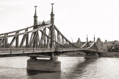 Liberty Bridge in Budapest clipart