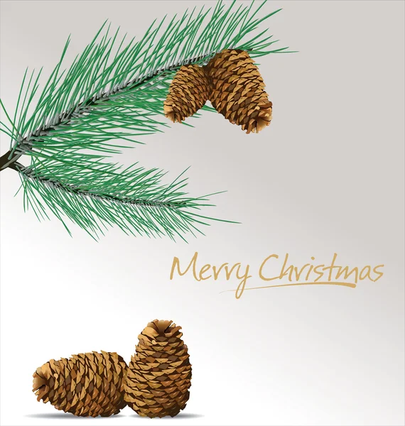 Větev borovice s kužely Vánoční pozadí — Stockový vektor