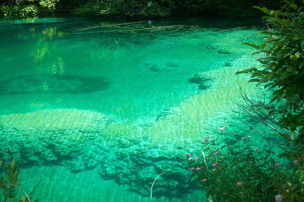 Magic colors in Plitvice lake, Croatia — Stock Photo, Image