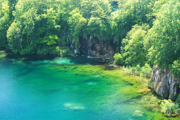 Plitvice (Croatia) section of lake and waterfall — Stock Photo, Image