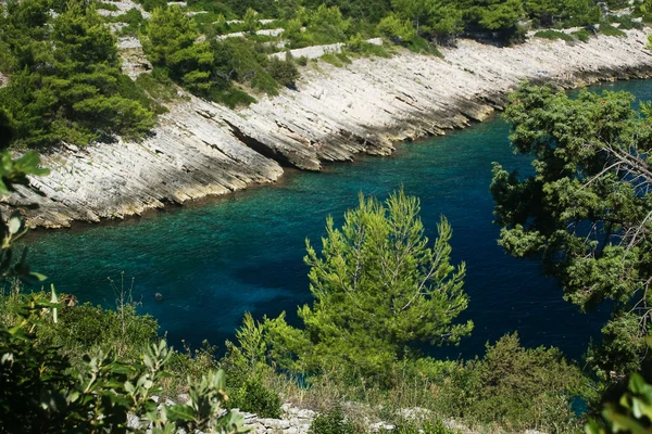 Sectie van de rotsachtige kust in korcula, Kroatië — Stockfoto