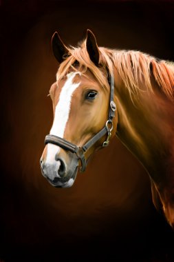 Painting portrait of a horse clipart