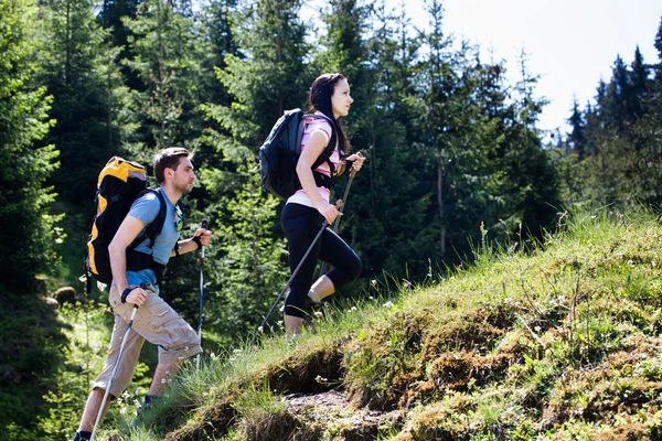 Hiking couple — Stock Photo, Image