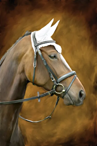 Um cavalo. — Fotografia de Stock