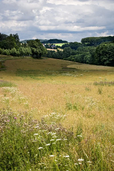 Landelijke lansdscape in de buurt van coburg — Stockfoto