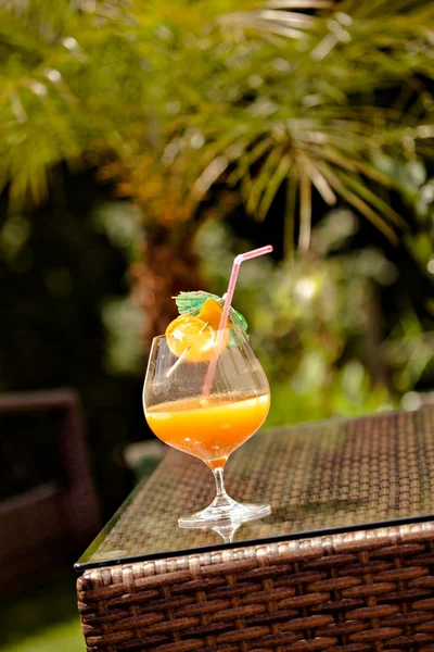 O cocktail — Fotografia de Stock