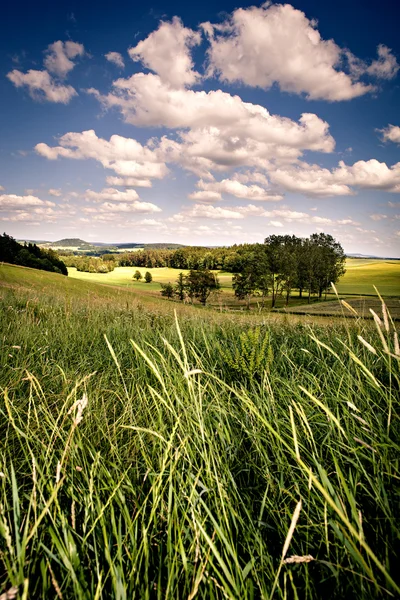 Paysage rural près de Coburg — Photo