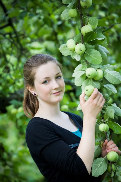 Adolescente na árvore da maçã — Fotografia de Stock
