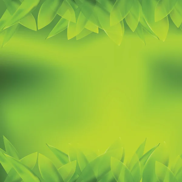 Fond vert avec feuilles, vecteur — Image vectorielle