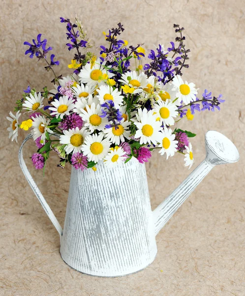 Beautiful wildflowers — Stock Photo, Image