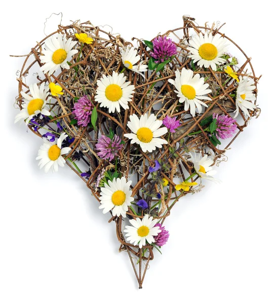 Floral heart — Stock Photo, Image
