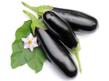 Eggplants clipart