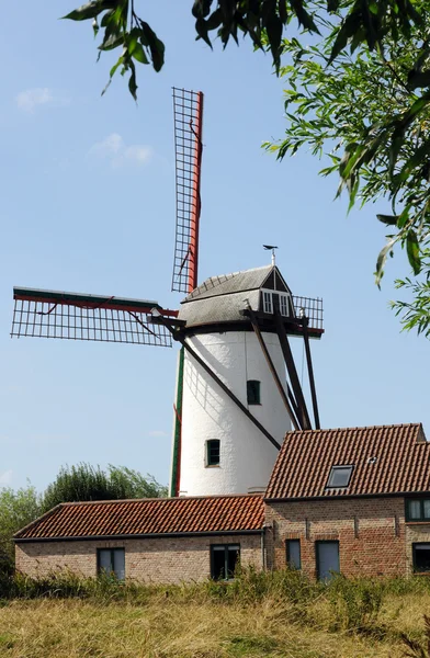 stock image Windmill