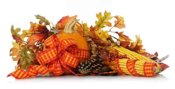 Podzimní složení — Stock fotografie