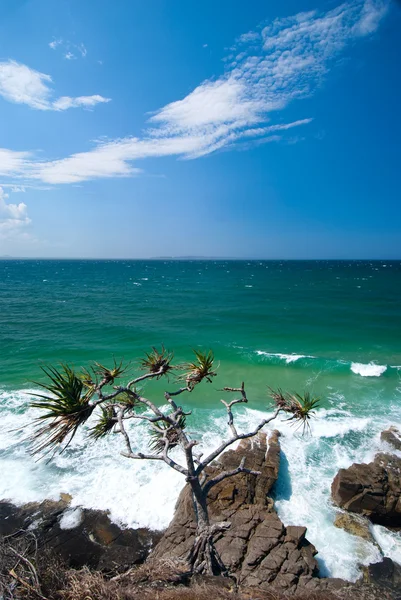 Noosa beach - queendsland - australien — Stockfoto