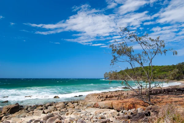 Noosa beach - queendsland - australien — Stockfoto