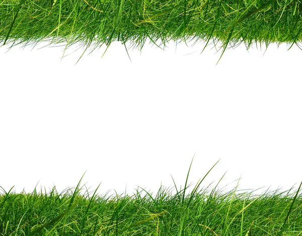 Quadro de grama verde — Fotografia de Stock