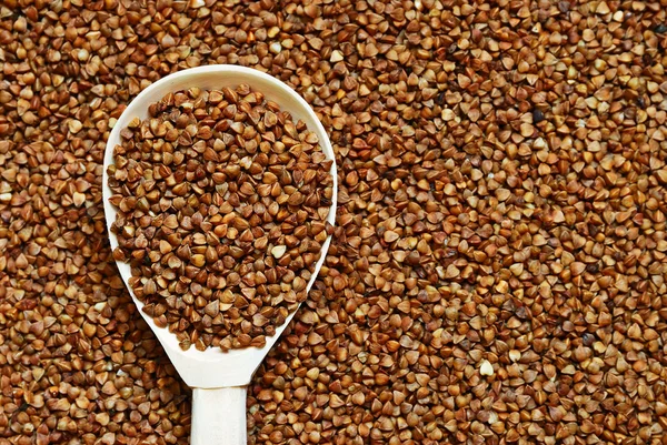 stock image Buckwheat