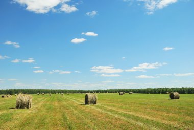 Hay bales clipart