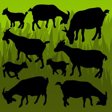 Farm dairy goats detailed silhouettes illustration collection ba clipart