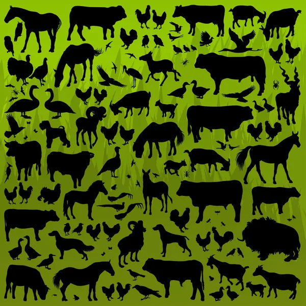 Farm animals detailed silhouettes illustration collection backgr — Stock Vector