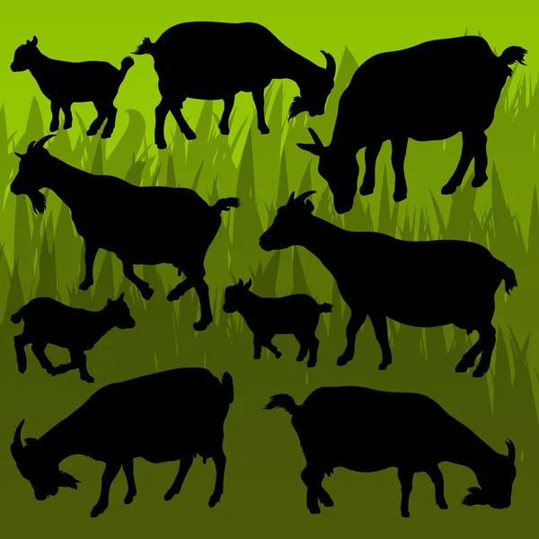 农场奶山羊详细的剪影图集合 ba — 图库矢量图片