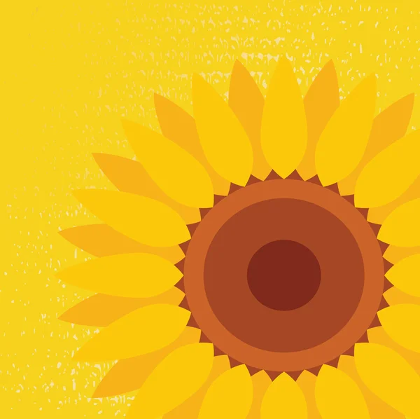 Sunflower vector background — Stock Vector