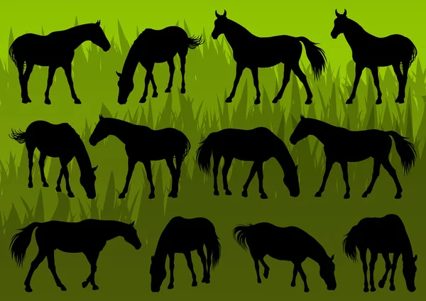 Sport en boerderij paard gedetailleerde silhouetten illustratie collectio — Stockvector