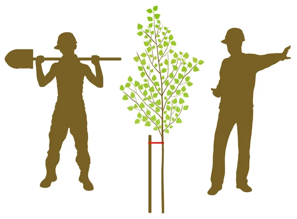 Birke pflanzt Vektorhintergrund mit Arbeiter und Gärtner — Stockvektor