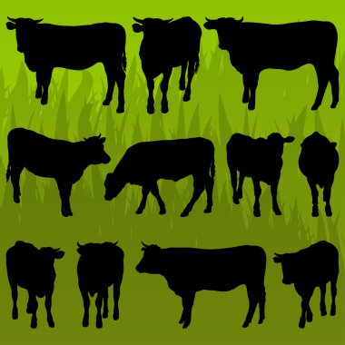 Beef cattle detailed silhouettes illustration background vector clipart