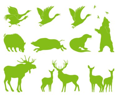 Ecology forest animal vector set background clipart