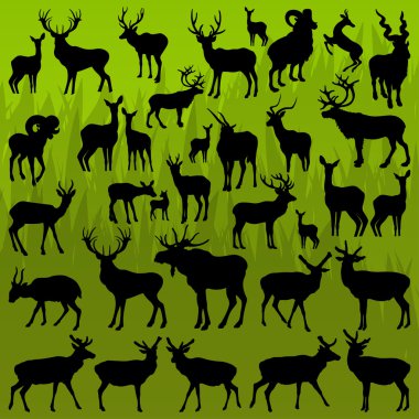 Deer, moose and mountain sheep horned animals vector clipart