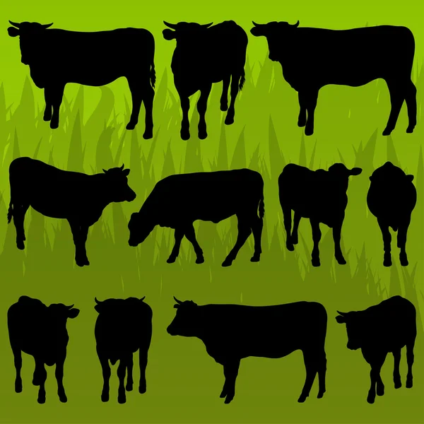 Beef cattle detailed silhouettes illustration background vector — Stock Vector