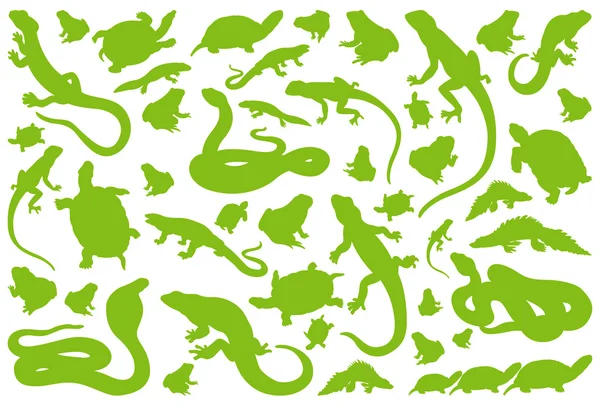 Anfibio reptil vector ambiental — Archivo Imágenes Vectoriales